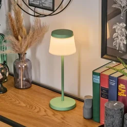 Algeraz Lampe de table d'extérieur, Lampe à poser LED Vert, 1 lumière