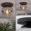 Apedo Plafonnier, Boule lumineuse Clair, Fumé, 1 lumière
