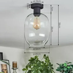 Apedo Plafonnier Clair, 1 lumière