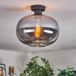Apedo Plafonnier Fumé, 1 lumière