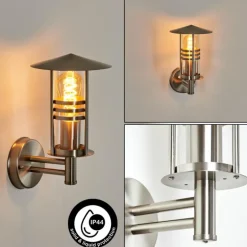 Applique extérieure Forli Acier inoxydable, Transparent, 1 lumière