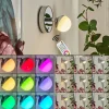 Applique murale Sanchequias LED Chrome, 1 lumière, Télécommandes, Changeur de couleurs