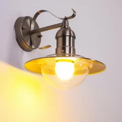 Applique murale d'extérieur Broni Acier inoxydable, 1 lumière