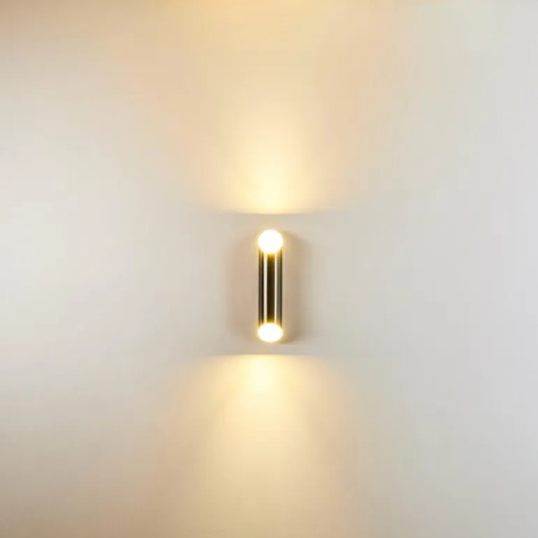 Applique murale d'extérieur Saulcy LED Acier inoxydable, 2 lumières