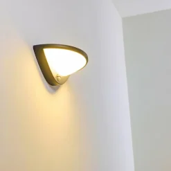 Applique murale d'extérieur Carano LED Noir, 1 lumière, Détecteur de mouvement