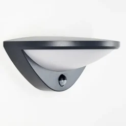 Applique murale d'extérieur Carano LED Noir, 1 lumière, Détecteur de mouvement