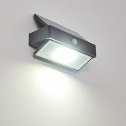 Applique murale d'extérieur Wiborg LED Anthracite, 1 lumière, Détecteur de mouvement