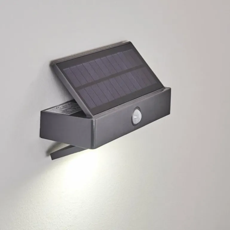 Applique murale d'extérieur Wiborg LED Anthracite, 1 lumière, Détecteur de mouvement