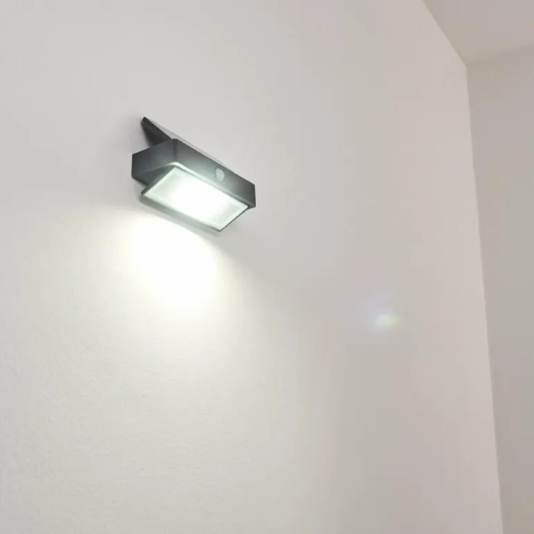 Applique murale d'extérieur Wiborg LED Anthracite, 1 lumière, Détecteur de mouvement