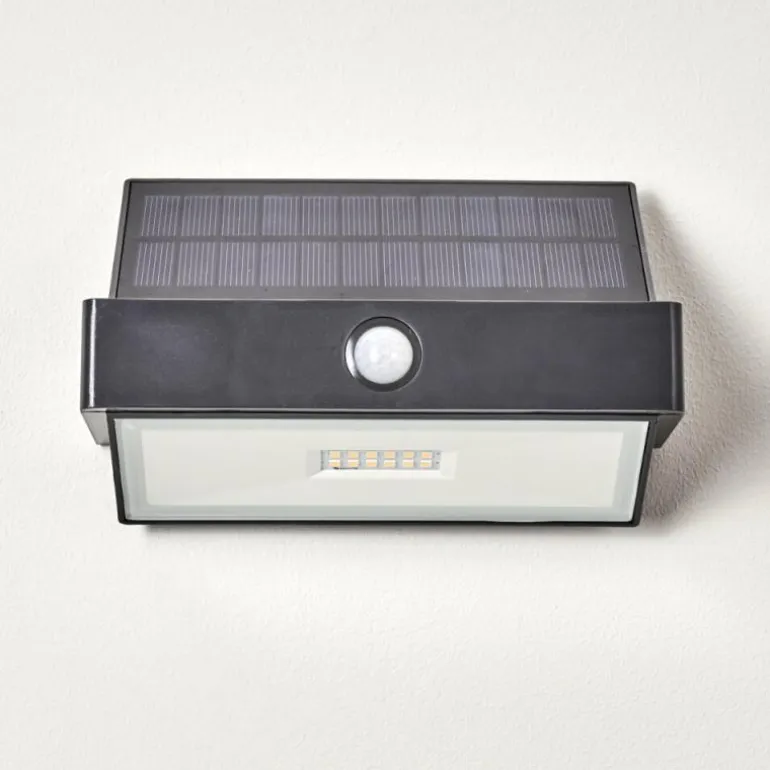 Applique murale d'extérieur Wiborg LED Anthracite, 1 lumière, Détecteur de mouvement