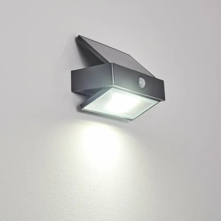 Applique murale d'extérieur Wiborg LED Anthracite, 1 lumière, Détecteur de mouvement