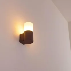 Applique murale d'extérieur Buhrkall Rouille, 1 lumière