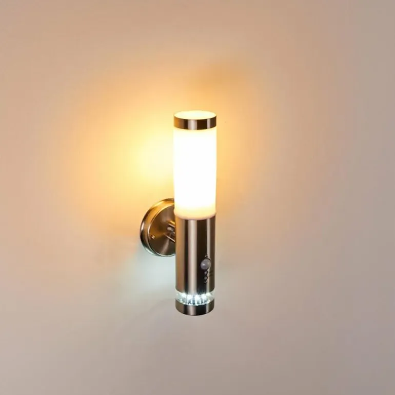 Applique murale d'extérieur Walise Acier inoxydable, 1 lumière, Détecteur de mouvement