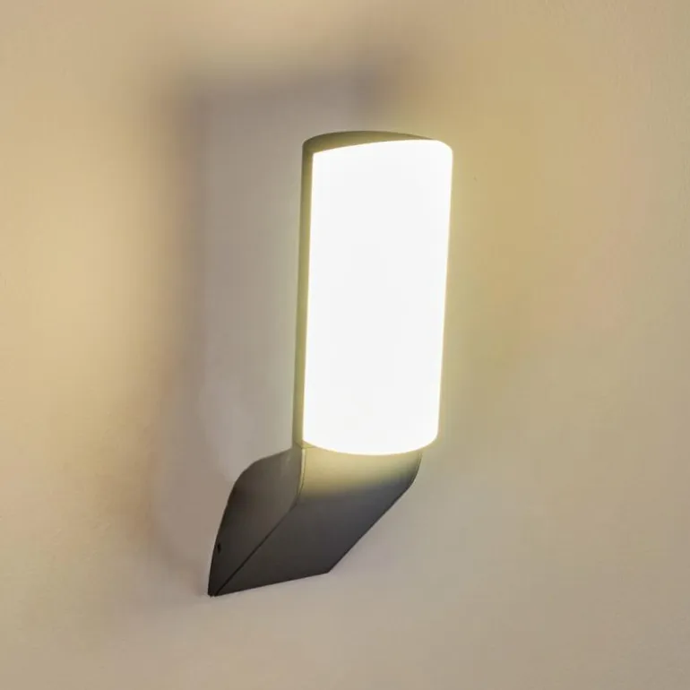 Applique murale d'extérieur Bovlund LED Noir, 1 lumière