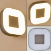 Applique murale d'extérieur Feldsted LED Argenté, 1 lumière, Changeur de couleurs
