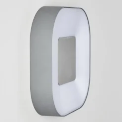 Applique murale d'extérieur Feldsted LED Argenté, 1 lumière, Changeur de couleurs