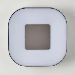 Applique murale d'extérieur Feldsted LED Argenté, 1 lumière, Changeur de couleurs