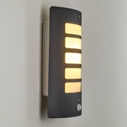 Applique murale d'extérieur Alslev Anthracite, 1 lumière, Détecteur de mouvement