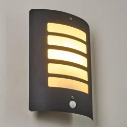 Applique murale d'extérieur Alslev Anthracite, 1 lumière, Détecteur de mouvement