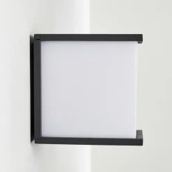 Applique murale d'extérieur Ebba Anthracite, 1 lumière