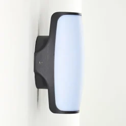 Applique murale d'extérieur Svea LED Anthracite, 1 lumière