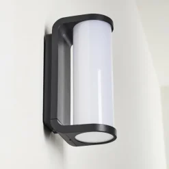 Applique murale d'extérieur Novelle LED Anthracite, 1 lumière