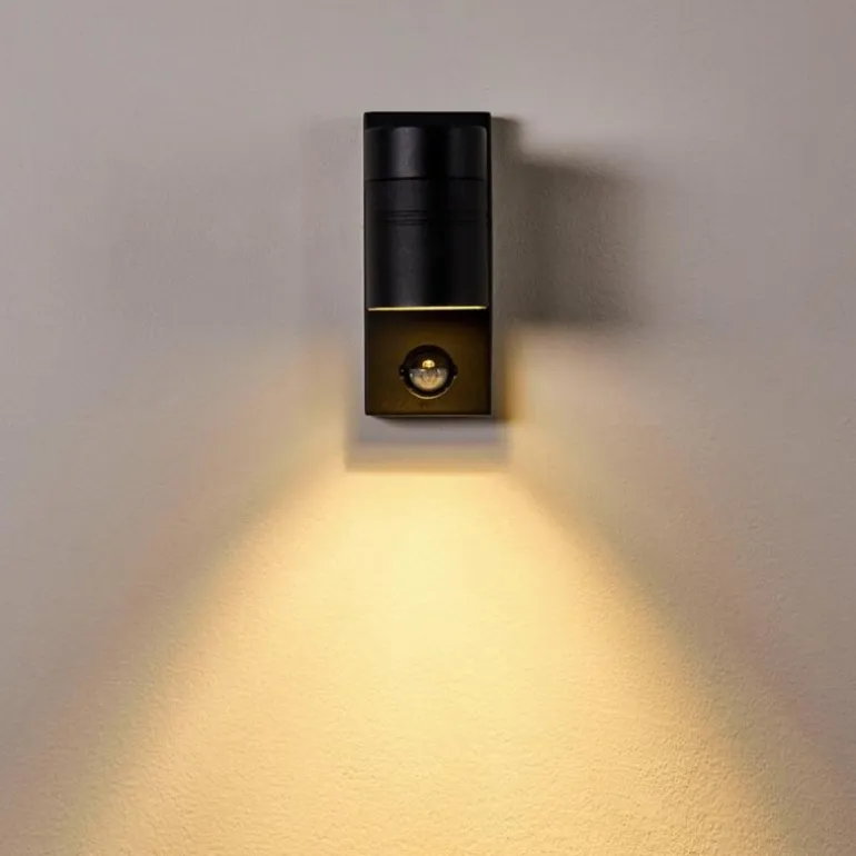 Applique murale d'extérieur Froslev LED Noir, 1 lumière, Détecteur de mouvement
