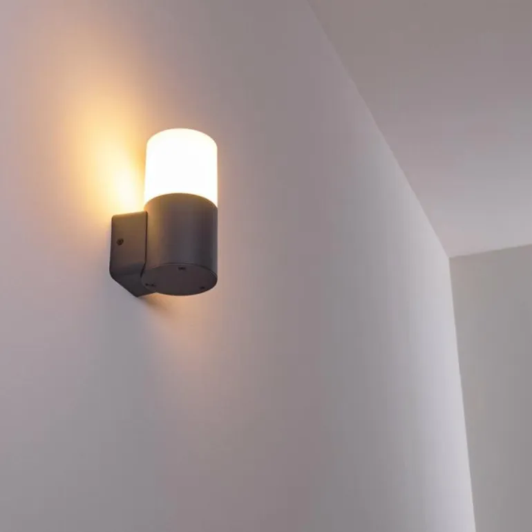 Applique murale d'extérieur Schafhaus Anthracite, 1 lumière