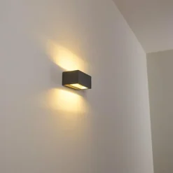 Applique murale d'extérieur Spidern LED Anthracite, 1 lumière