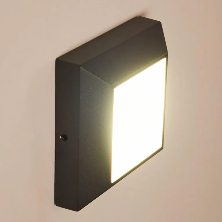 Applique murale d'extérieur Alkmaar LED Anthracite, 1 lumière