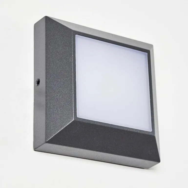 Applique murale d'extérieur Alkmaar LED Anthracite, 1 lumière