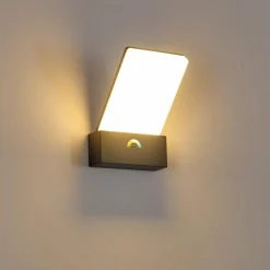 Applique murale d'extérieur Heraklion LED Anthracite, 1 lumière