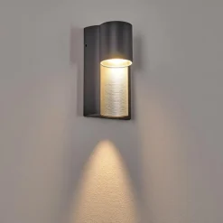 Applique murale d'extérieur Bormio Gris, Argenté, 1 lumière
