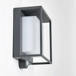 Applique murale d'extérieur Lansing LED Anthracite, 1 lumière, Détecteur de mouvement