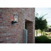 Applique murale d'extérieur Lutec Flair Anthracite, 1 lumière
