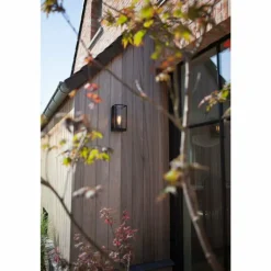 Applique murale d'extérieur Lutec Flair Anthracite, 1 lumière