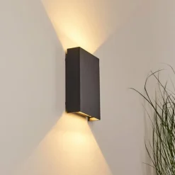 Applique murale d'extérieur Benin LED Noir, 2 lumières