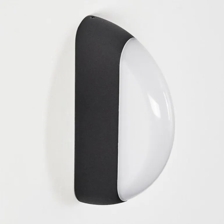Applique murale d'extérieur Arvier LED Noir, 1 lumière