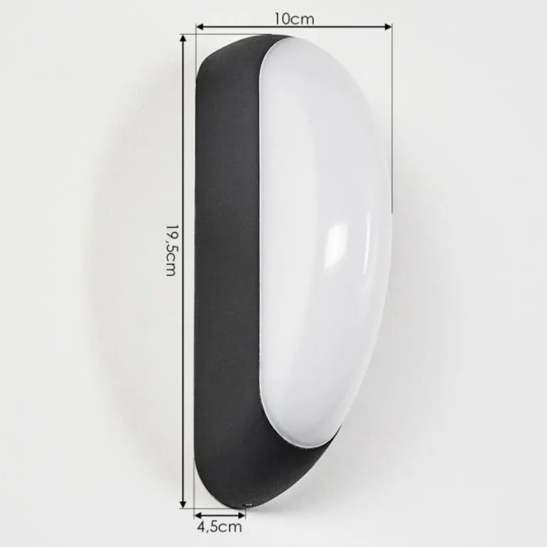 Applique murale d'extérieur Arvier LED Noir, 1 lumière