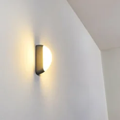 Applique murale d'extérieur Arvier LED Gris, 1 lumière