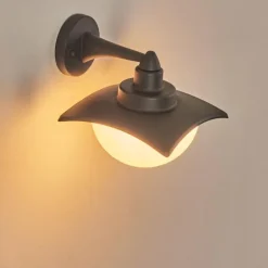 Applique murale d'extérieur Spessa Anthracite, 1 lumière