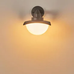 Applique murale d'extérieur Spessa Anthracite, 1 lumière