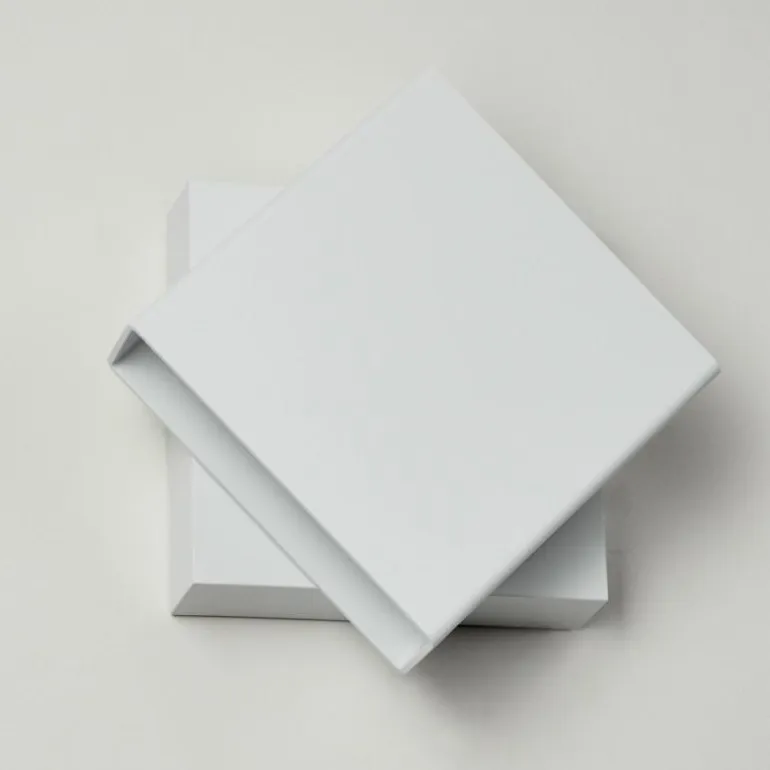 Applique murale d'extérieur Fontanile LED Blanc, 1 lumière