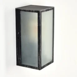 Applique murale d'extérieur Hakkas Noir, Argenté, 1 lumière