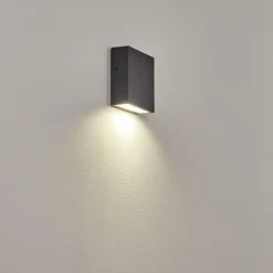 Applique murale d'extérieur Spidern LED Anthracite, 1 lumière