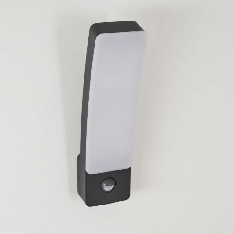 Applique murale d'extérieur Maseru LED Anthracite, 1 lumière, Détecteur de mouvement