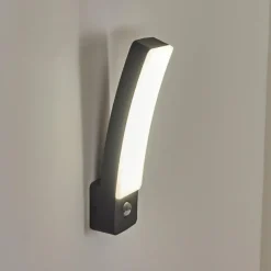 Applique murale d'extérieur Maseru LED Anthracite, 1 lumière, Détecteur de mouvement