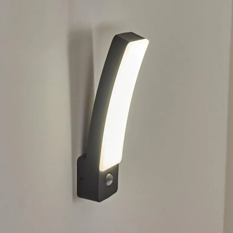 Applique murale d'extérieur Maseru LED Anthracite, 1 lumière, Détecteur de mouvement