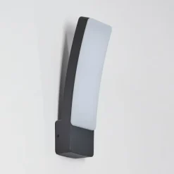 Applique murale d'extérieur Maseru LED Anthracite, 1 lumière