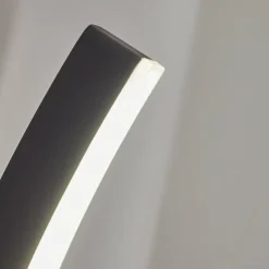 Applique murale d'extérieur Maseru LED Anthracite, 1 lumière